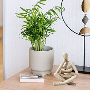 readin statue home decor