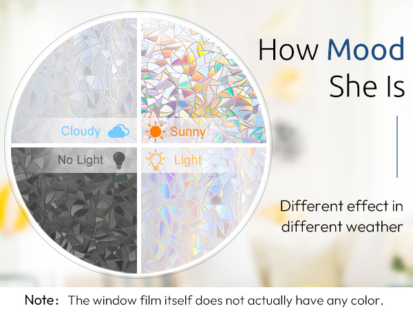 window film