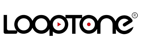 LoopTone Radio & Turntable