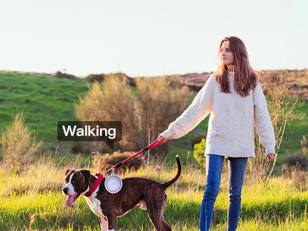 portable dog water bowl