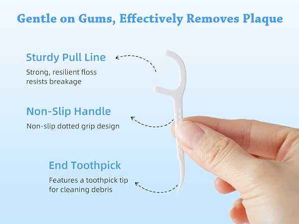 Dental Floss Picks