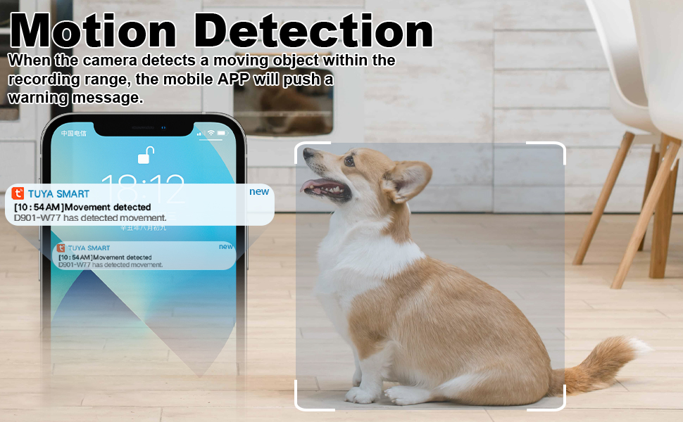 Motion Detection
