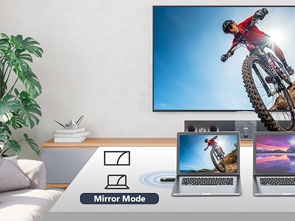 mirror mode and extend mode