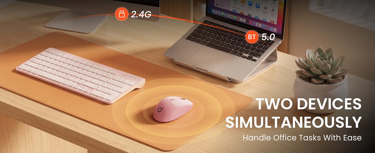 computer mouse