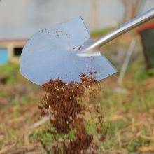 Transplanting