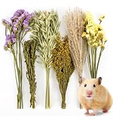 Sukh 42Pcs Herb Bedding Habitat Decor - Natural Flower Hamster Mate Herbs Sprays Cage Safe Pet Ac...