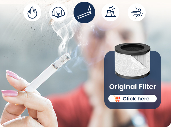 air purifier