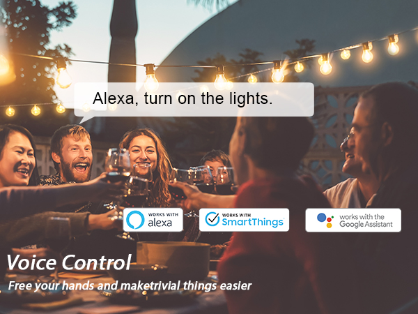outdoor smart plug with voice control