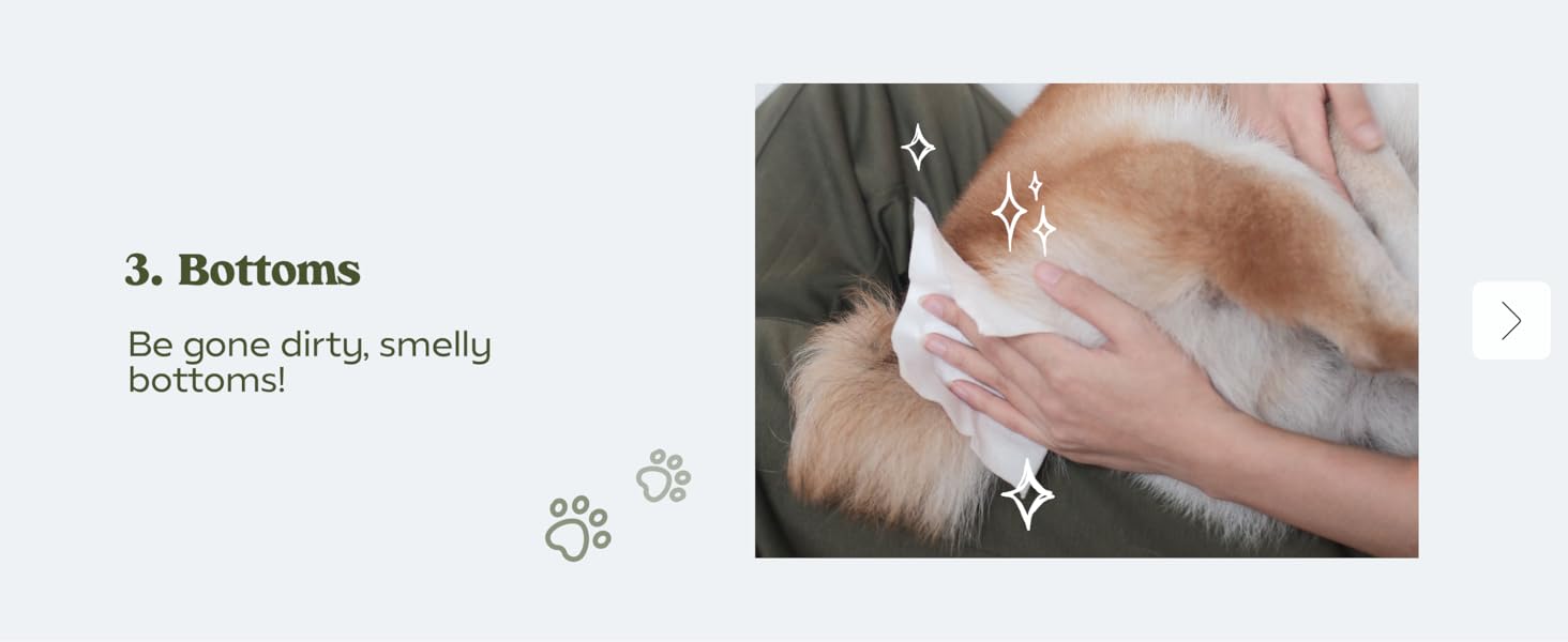 Pet Wipes