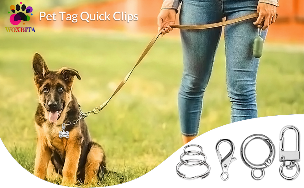 Dog Tag Clips for Collar