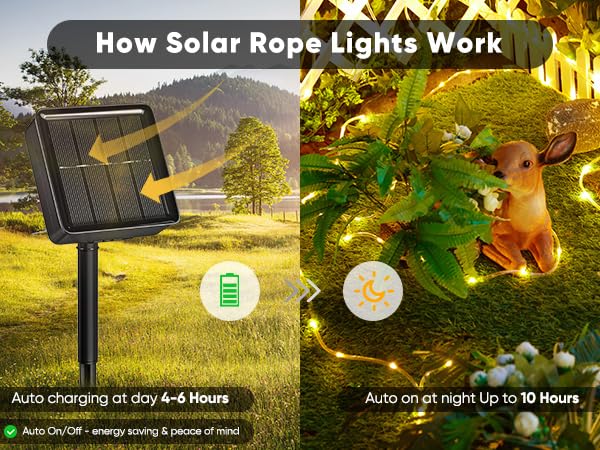 solar string lights outdoor