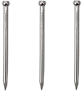 600pcs Hardware Nails, 1'' × 17 Ga Nickel Plated Hanging Nails, Wall Nails for Hanging Pictures, ...