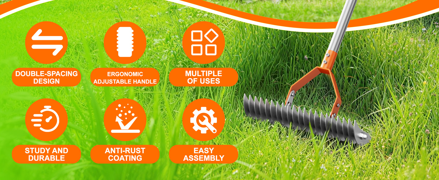 thatch rake for lawn