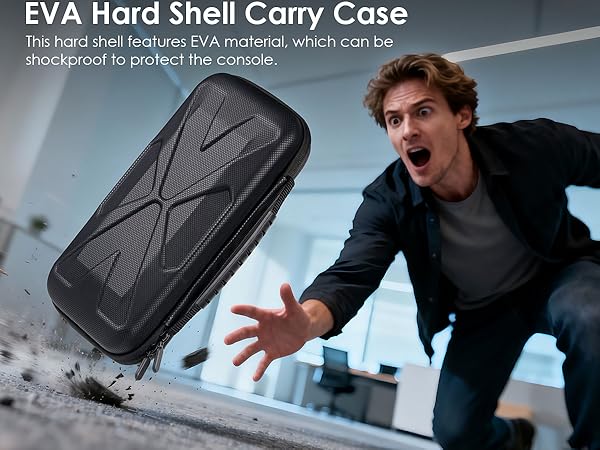 Switch 2 Case