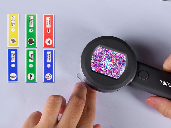 TOMLOV P10 Microscope for Adults Kids