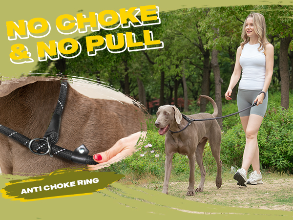Slip Lead Dog Leash