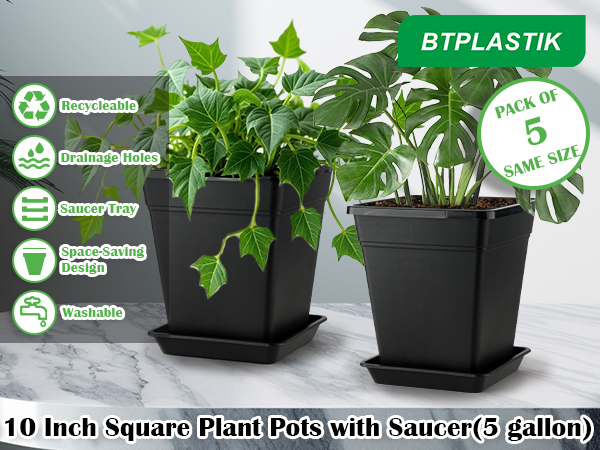 plant pots