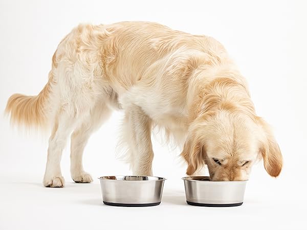 Dog bowls, dog water bowl, cat bowls