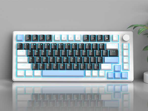 Vibrant Ice Blue Backlit