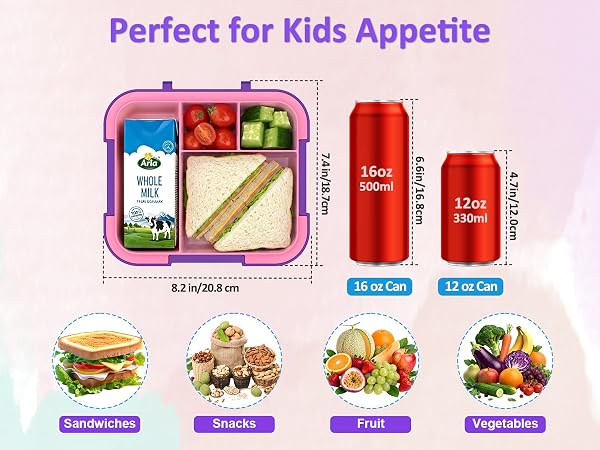 bento lunch box for kids