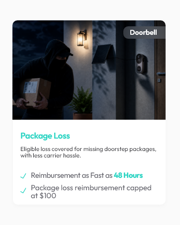 door camera