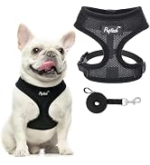 PUPTECK Soft Mesh Dog Harness and Leash Set Pet Puppy Cat Comfort Padded Vest No Pull Harnesses, ...