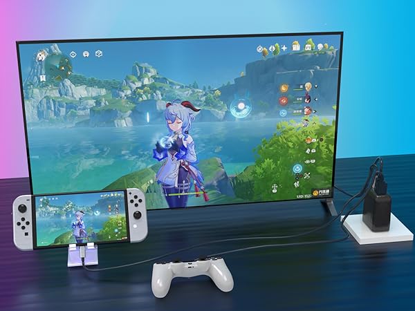 Switch Dock Mode