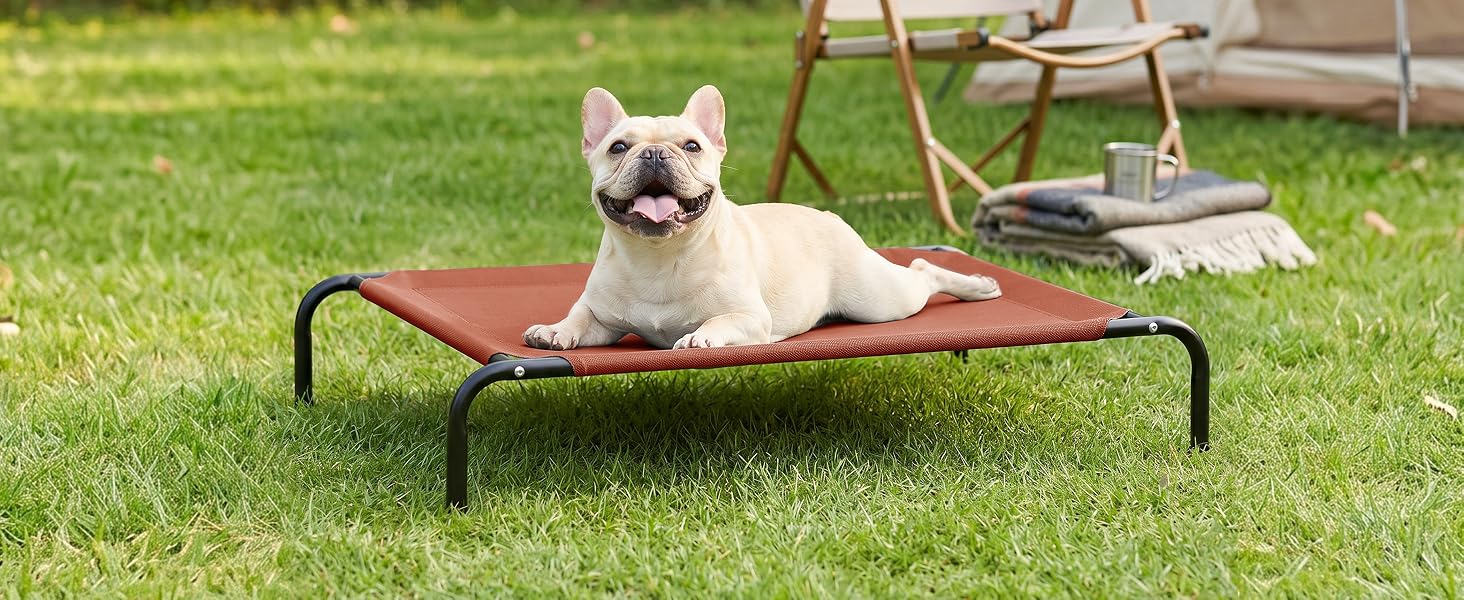 raised dog bed