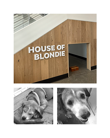 pet parents house of blondie