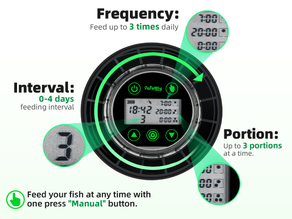 FISH FEEDER