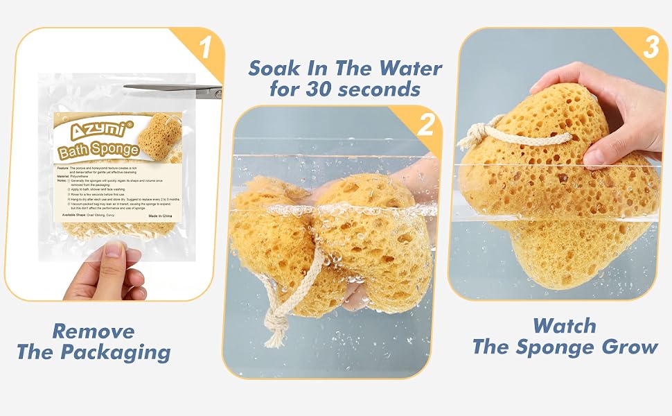 shower sponge