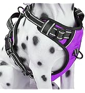 PoyPet No Pull Dog Harness, Reflective Comfortable Vest Harness with Front & Back 2 Leash Attachm...