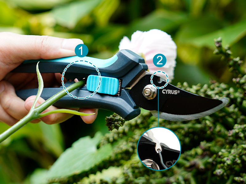 shears