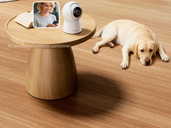 indoor pet camera on a wooden side table in a living room, with a Labrador resting on the floor