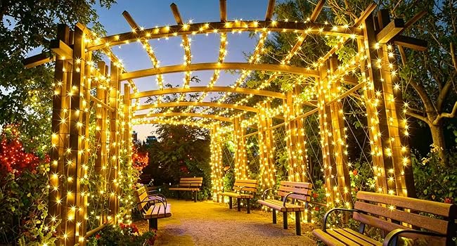 warm outdoor lights