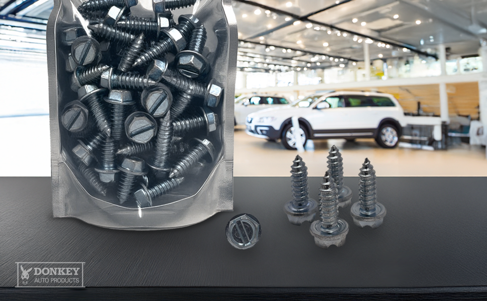 Lifestyle Screw in Dealership, License Plate Screws Display, Showroom Display of Screws