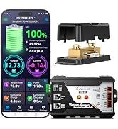 FOXWELL BT630 Battery Monitor with Shunt, 10-120V up to 600A with Time Capacity Percentage Power ...