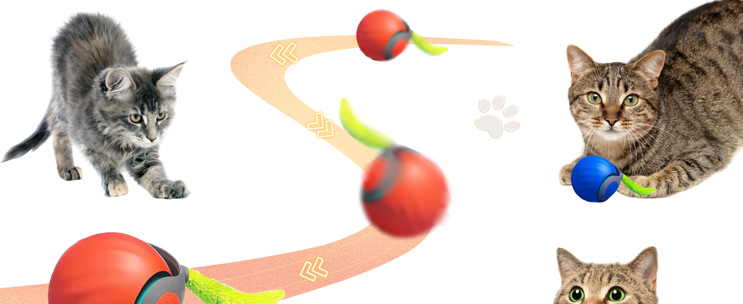 automatic cat toy
