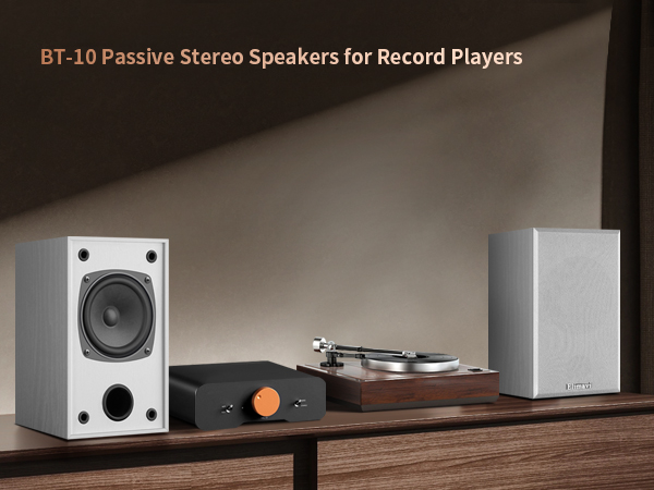 Passive bookshelf speaker for record players