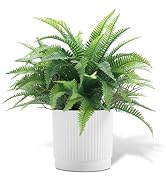 Coferset Small Fake Plant 12.2" Fern Potted Artificial Plants for Shelf Desk Home Bathroom Farmho...