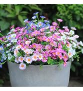 alyptus Enhance Your Outdoor Space Artificial Flowers & Plants 20 Bundles Anti-UV Simulated Flowe...