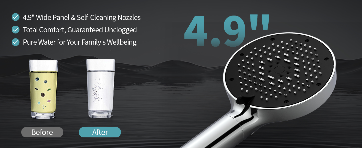filtered shower head