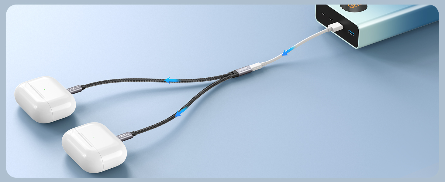 USB C Splitter 1 Female to 2 Male