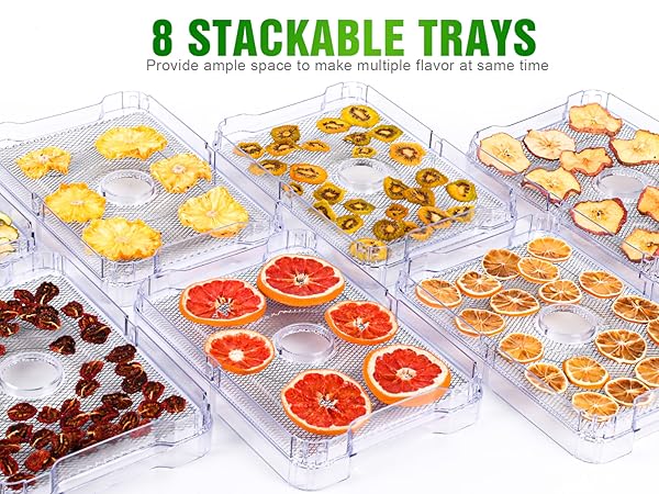 8 Stainless Steel Trays Food Dryer