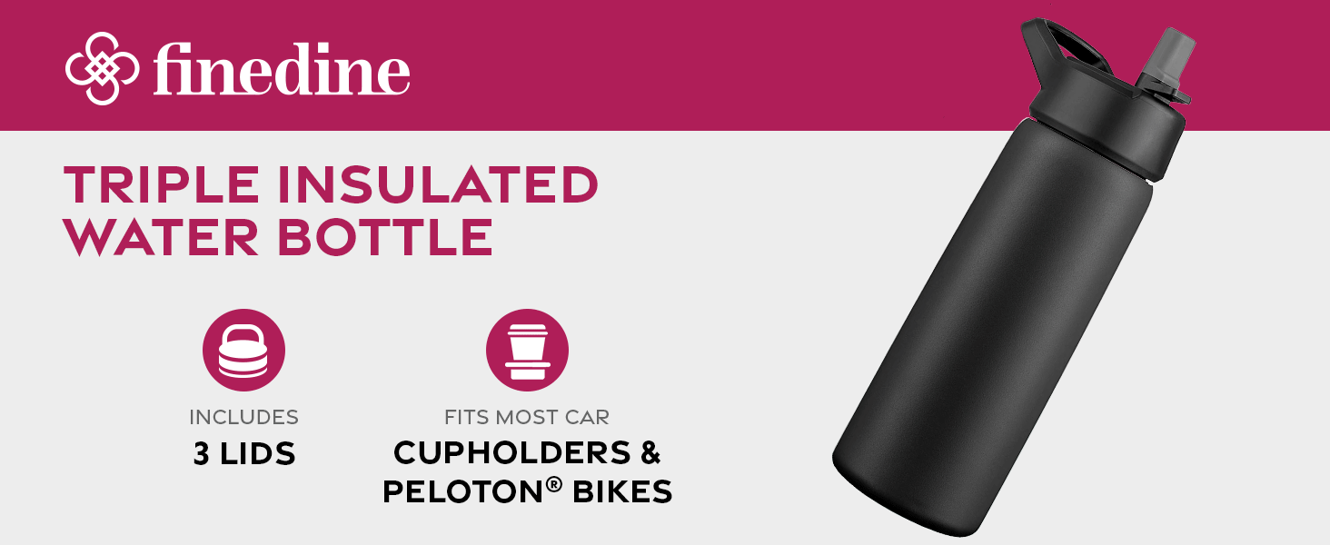 Triple insulated water bottle