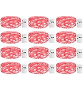 inkgear 12 Pack Fairy Lights with Timer - Battery Operated 3 Modes, 7ft 20 LED Waterproof Indoor ...