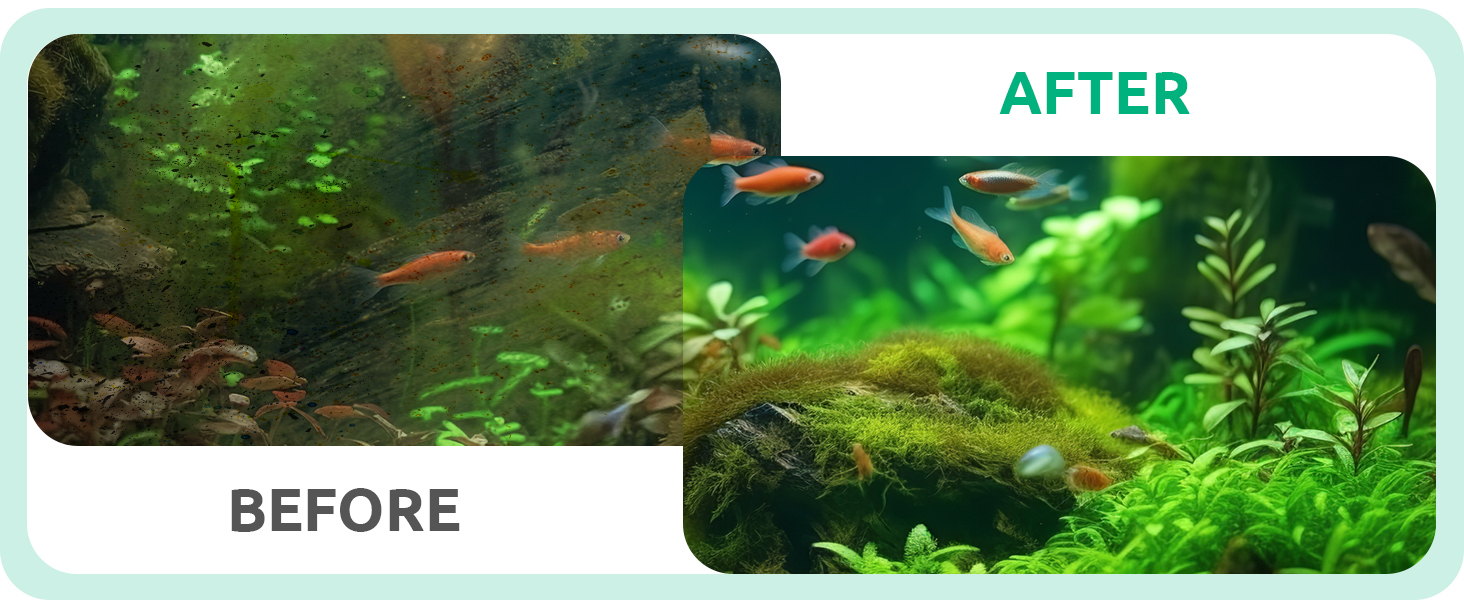 aquarium glass scraper