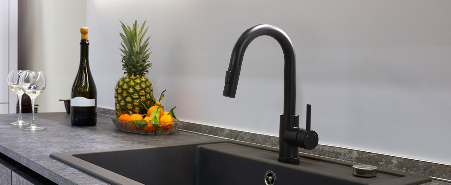 Kitchen Faucet
