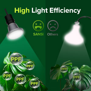 High Light Efficiency