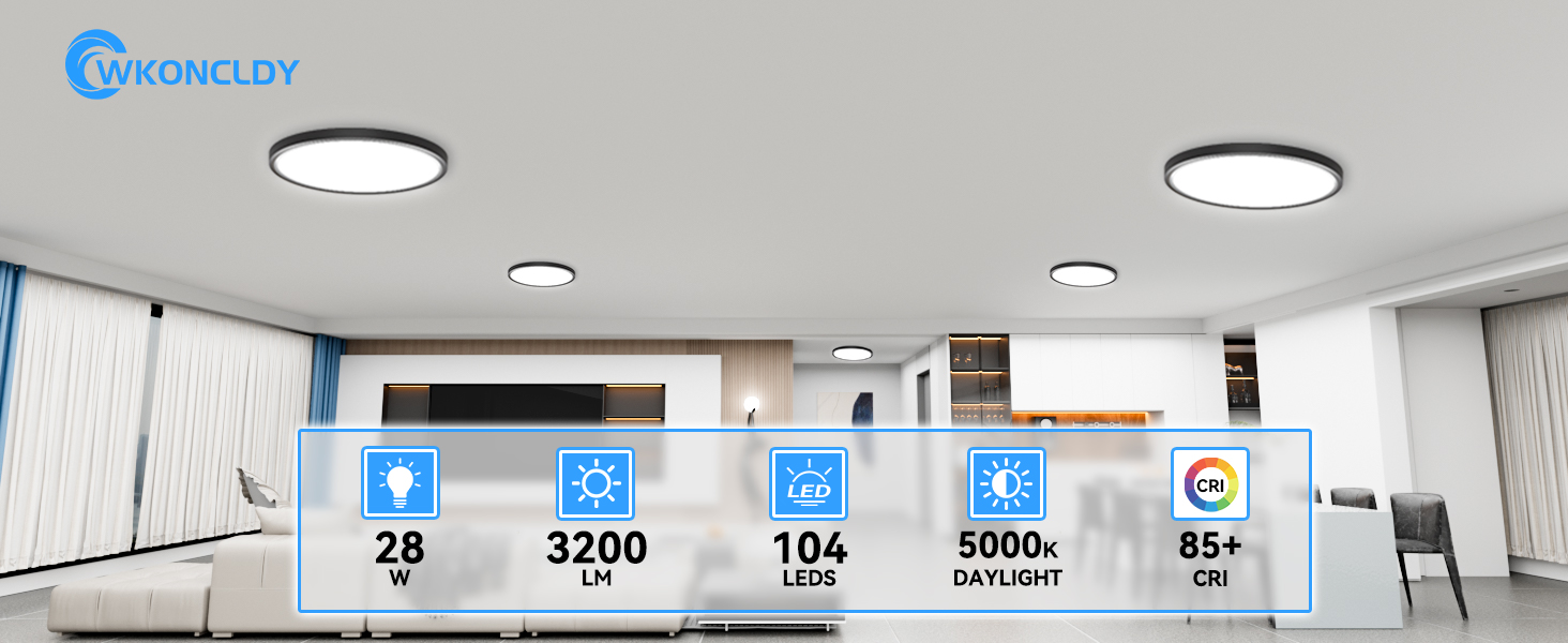 LED Ceiling Light